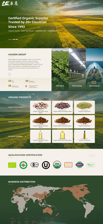 大连网站建设-华恩有机英文独立站