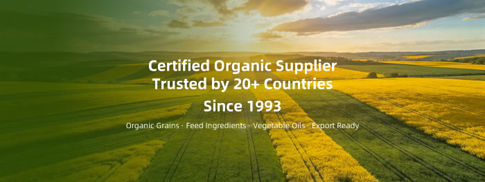 大连网站建设-签约华恩有机英文独立站